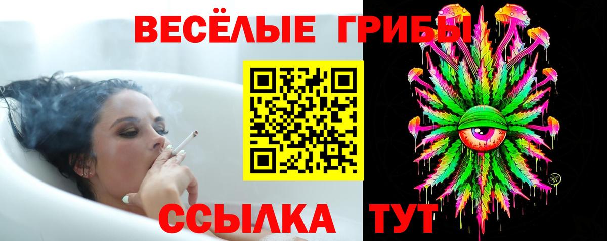 Галлюциногенные грибы Cubensis Белгород